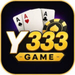 Y333 Game